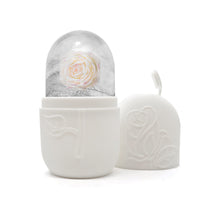 Thumbnail for Masajeador facial con bandeja de hielo y rodillo para aliviar la hinchazón